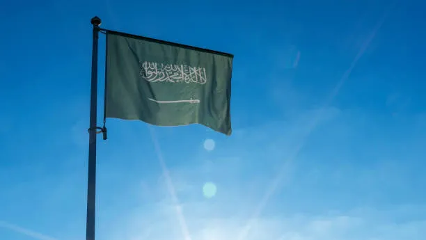 تجنيس أم المواطن