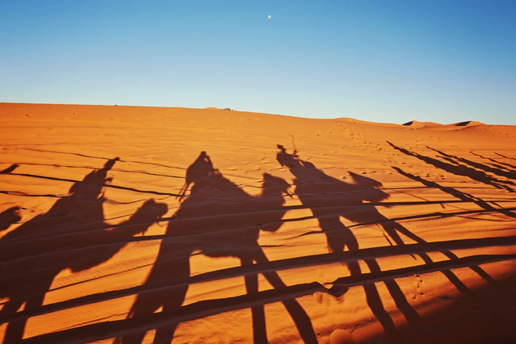 شروط تجنيس البدون في السعودية