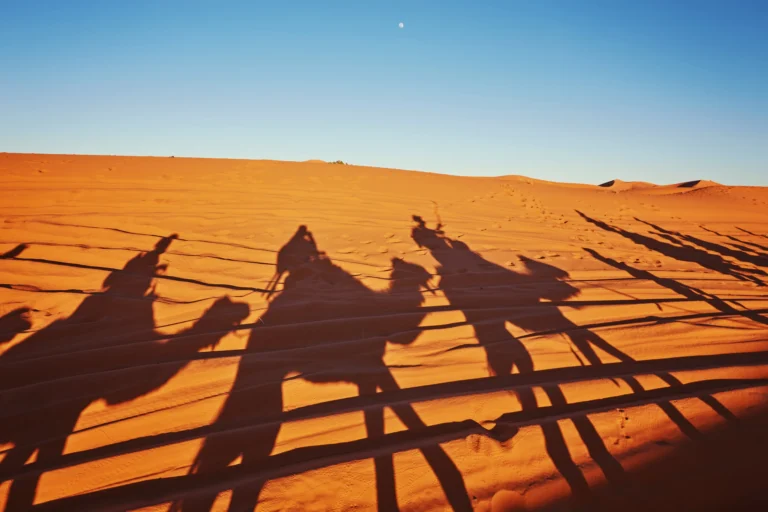 شروط تجنيس البدون في السعودية