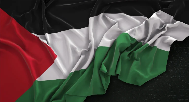 التجنيس الفلسطيني في الشتات