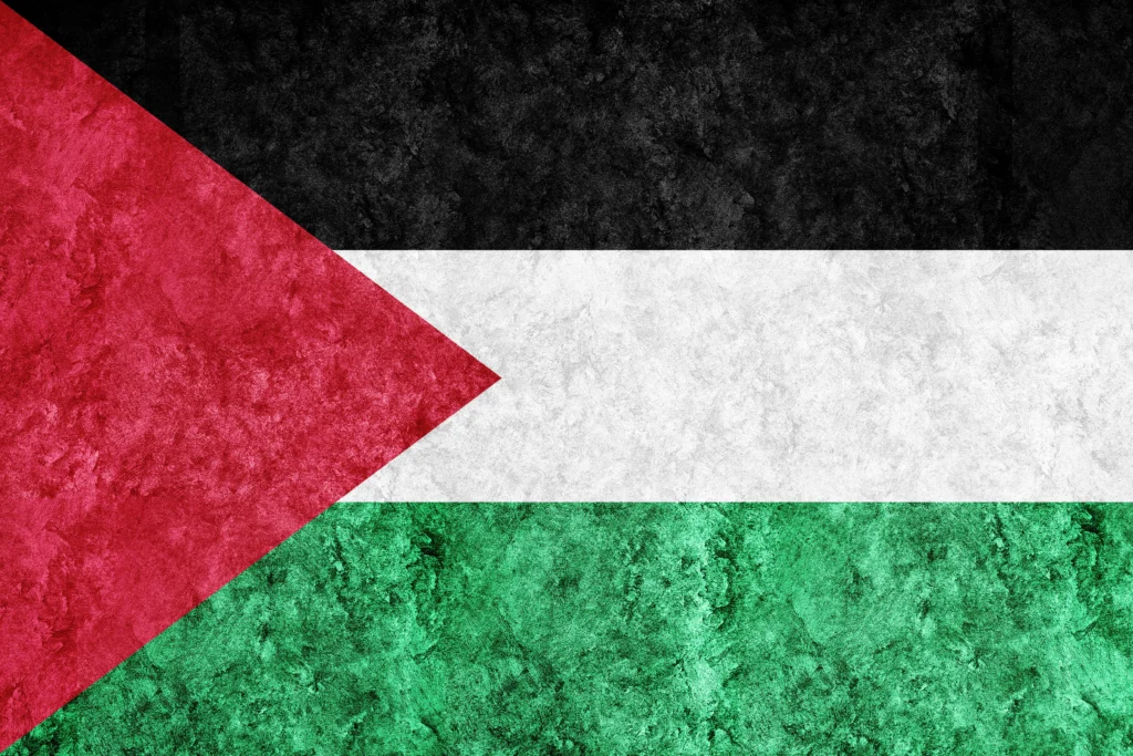 حقوق اللاجئين الفلسطينيين في التجنيس