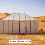 فئة بدون جنسية في السعودية