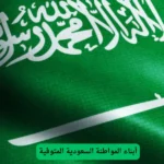 أبناء المواطنة السعودية المتوفية