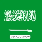 نظام التجنيس في السعودية