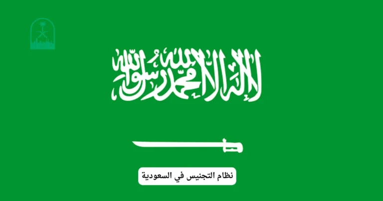 نظام التجنيس في السعودية