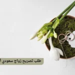 طلب تصريح زواج سعودي أو سعودية من الخارج